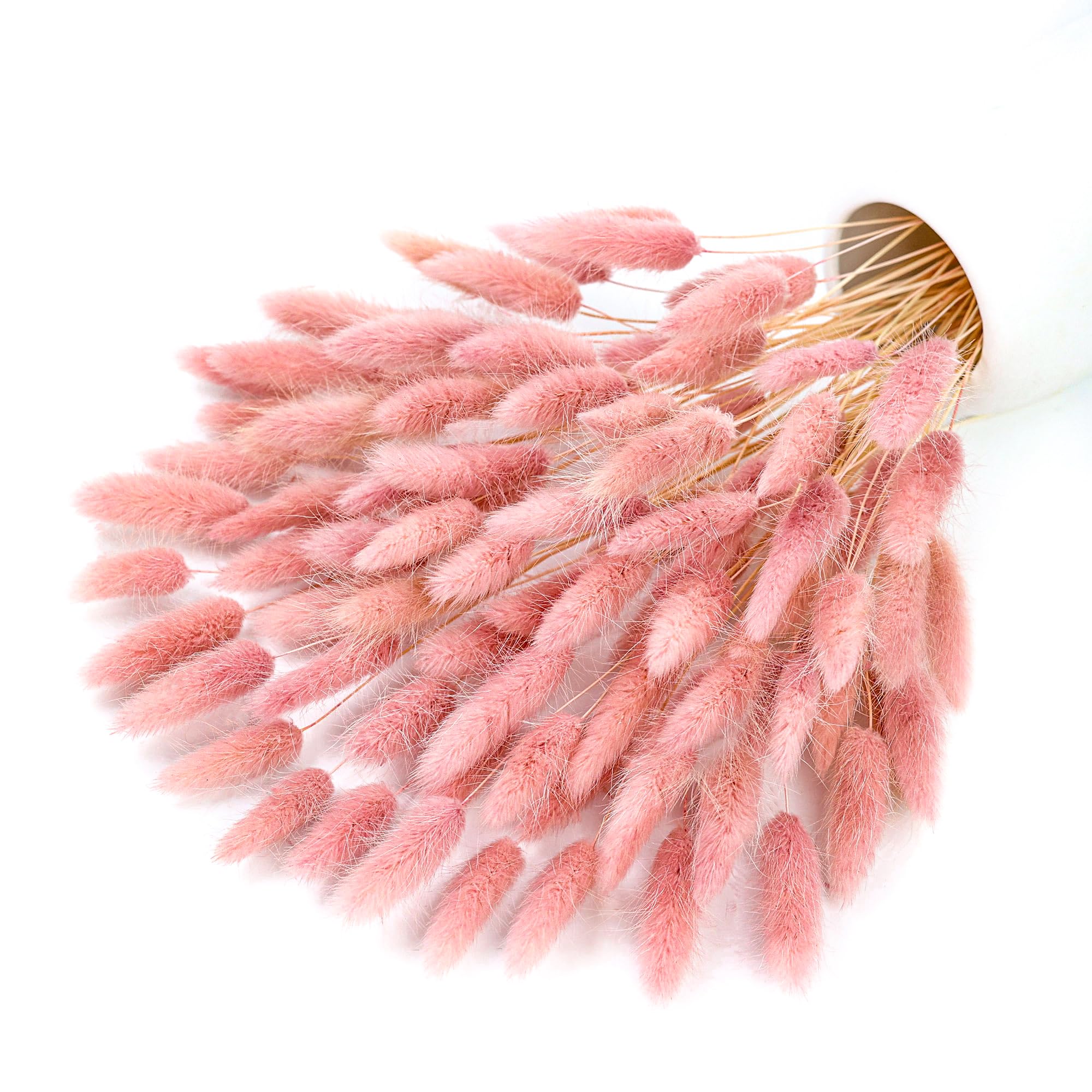 Pampas Grass Decor - 120 haste rosa seca pampas coelho