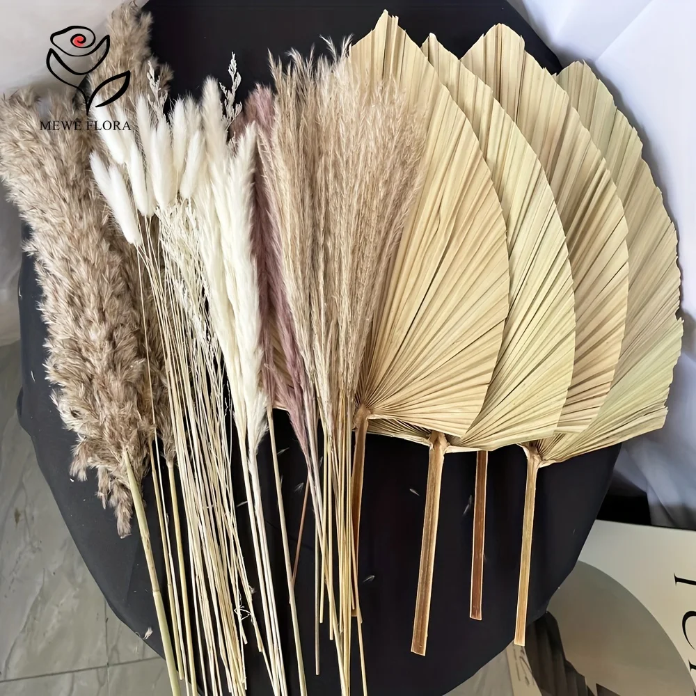 35 pçs natural pampas grama bo - Pampas Grass Decor avaliação e preço